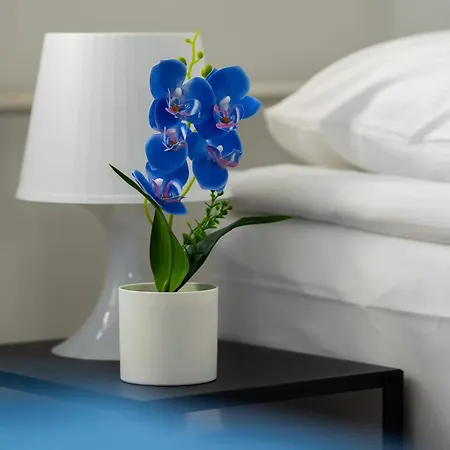 Practical Family With 2 Bedrooms A Few Minutes From The Airport By Renters Varsó